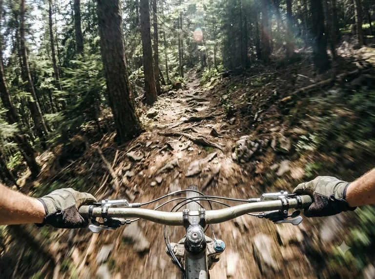 Example image for the Downhill Bike POV template